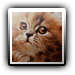Avatar de #shado
